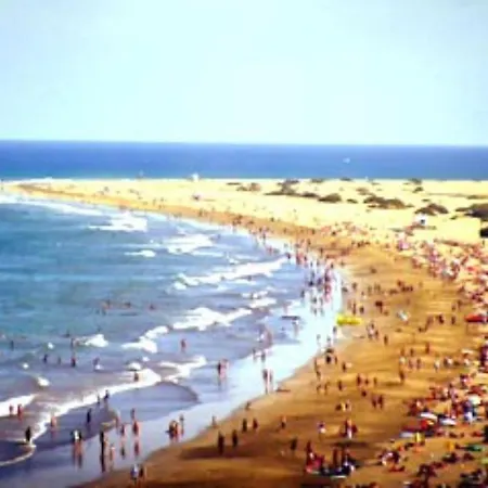 Centrico 221 By Casas Cocodrilo *