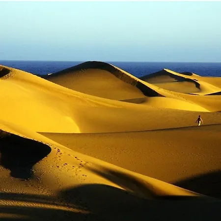 Apartamento Céntrico 221 Playa del Inglés