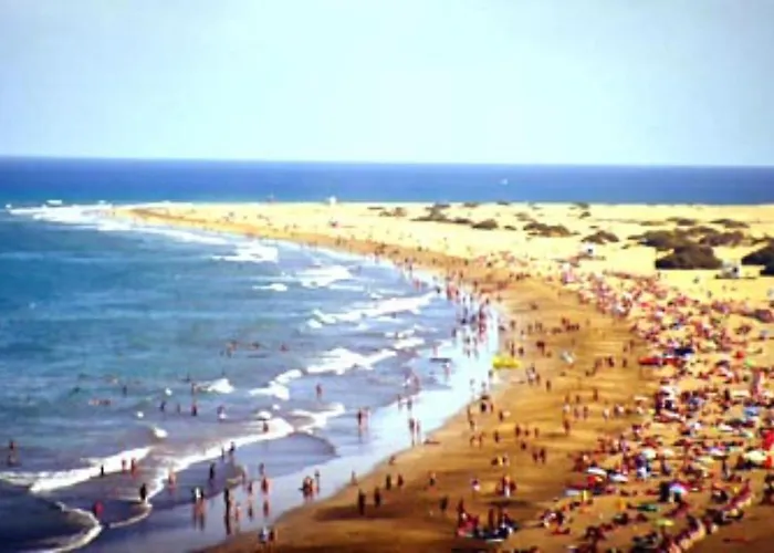 Centrico 221 By Casas Cocodrilo *